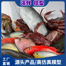100余款海鲜水产鱼虾蟹贝食物道具模型标本冷鲜冰台展示优选