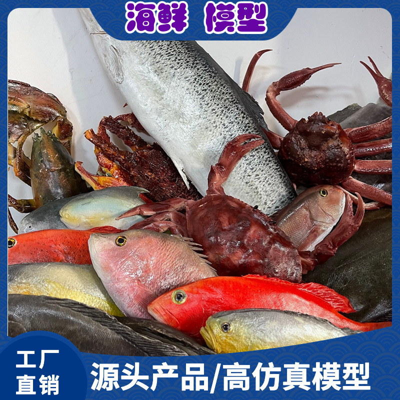 100余款海鲜水产鱼虾蟹贝食物道具模型标本冷鲜冰台展示优选