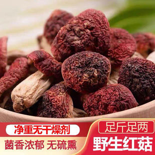 Ұ���t����؛С�t���tĢ���t���t׵���t������ϼt������