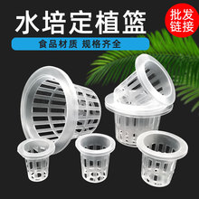 水培定植篮蔬菜无土栽培设备塑料加深种植蓝水耕植物定植杯固根器