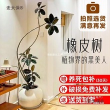 ڽƤ͏d҃ȴ;GֲBļk̫