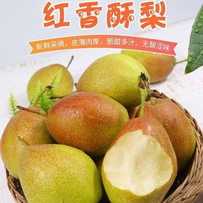 Pear Pear Pear fresh Pears 510 Season fruit Xinjiang Korla Pear