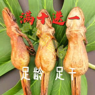 ��ѩ��ɡ���֧�|���L��ɽѩ���͸������ܸ�ѩ���ѩ����