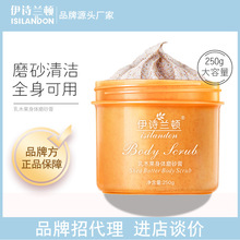 伊诗兰顿 乳木果身体磨砂膏250g