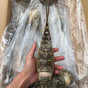 ���r���С�������r�r������r�������r���r������r���rˮ�a���r