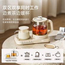 金正新款多功能养生壶保温烧水1L大容量办公室家用炖煮一体煮茶壶