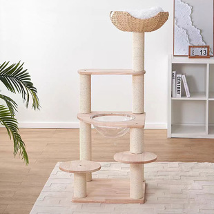 ؈���܌�ľ̫��œ؈�C؈��һ�w������̨ץ��������ľ؈����ߴ��l