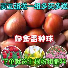 10�w������N���������Ժ��m�M���ذ궬��û����B�̨���N�ͺ�
