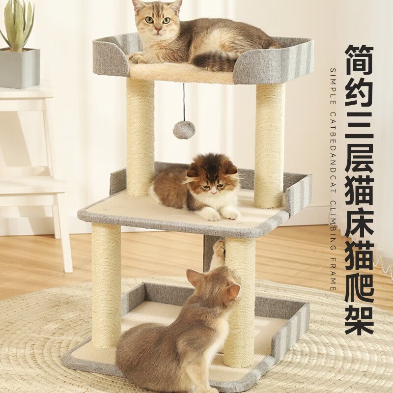 Perder para gatos, perder para gatos
