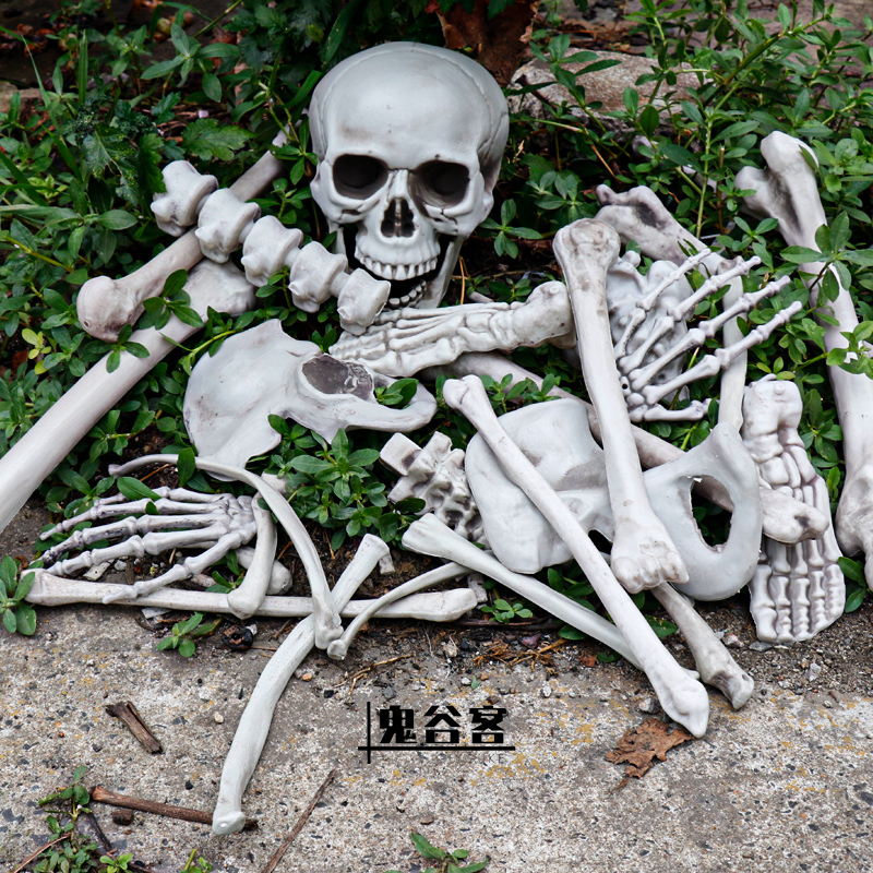 万圣节骷髅头骨架散骨假人木乃伊恐怖道具摆件密室酒吧鬼屋装饰品