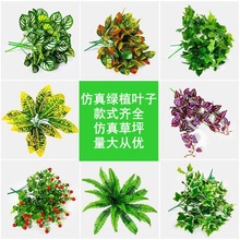 ����ֲ���������� �پGֲ���b�����ֲ���ƺ�ٻ������~