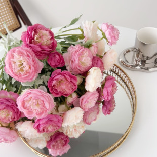 ��ĵ�����滨3�^ֲ�q¶ɏĵ���ٻ���ș���滨��cins�Ҿ��b����l