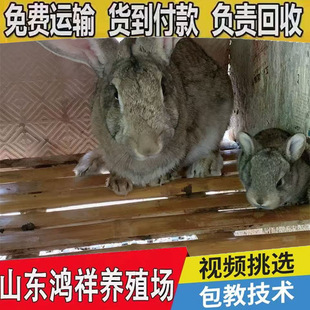 ������۱����r��ɽ�|��������S��ֱ�������r�����÷N��r��ă�