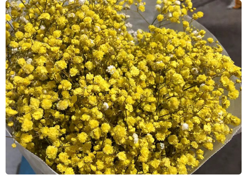 Full Sky Star, Immortal Flower, Dry Flower, True Flower Bundle, Flower Material, Gift, Flower_voghion.com