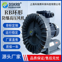 RB-033�����͸��·�������ʽ��ѹ�ķ��FB-3��������������������