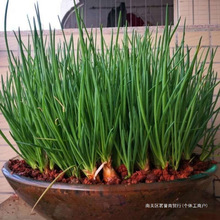 �ļ��[�^�N�Ӽt�[�^���[С�[�^С���r�����^�r�S�[�����[�Ĵ����[