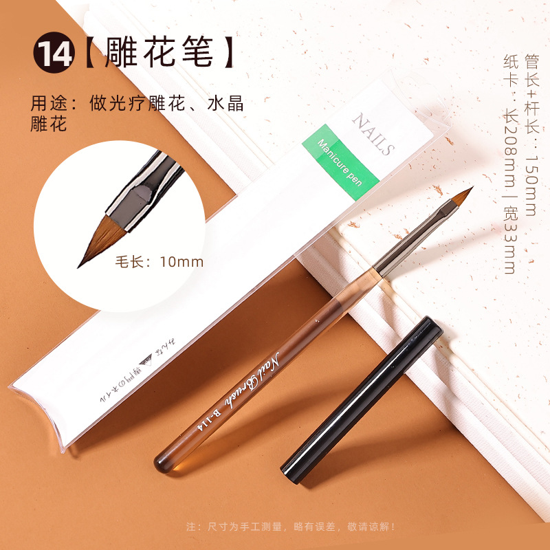 En stock marrón gruesa varilla pluma de Arte de uñas conjunto completo traje 15 piezas de arte de uñas pluma de fototerapia pluma de exploración en flor pluma pintada con tapa