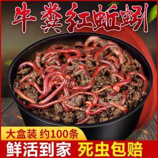 �����D�r��t�x����~�D���a�~���~Ұឺڿ��~�ϴ�C���~ʳͨ��