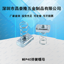 ��������֧�܌��������\������ĸM8*40C��䓌�������L������ĸ