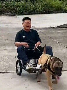 �m70��100��Ȯ �޹���������݆����˹�ӵ������F��Ȯ