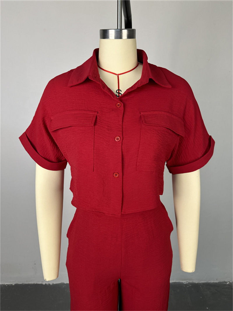 Holiday Daily Women's Casual Solid Color Polyester Button Pant Co-ord Set Pants Sets display picture 2