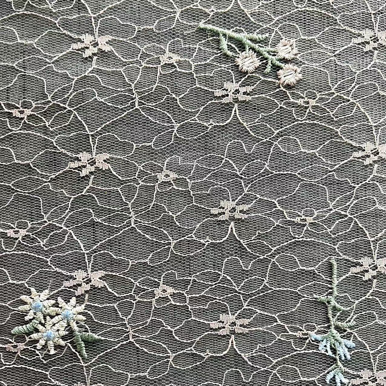 ˿廨 ɫֲͼ ͯװ ˿廨