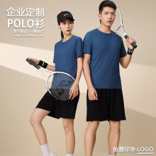 ���zpolo������������t���ļ��ٸ��Ļ�����I����ӡlogo�߶��ٸ�