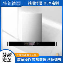 厂家批发壁挂式顶吸式抽油烟机免清洗油烟分离一件代发T型油烟机