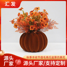 �＾�S�չ�ֵë�Ϲ��辰���滨����С�r���bҾӲ�֦�廨�[�O