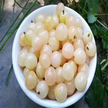 �޽ә����� �����M�ڰי��� ����������箔��Y���������l������