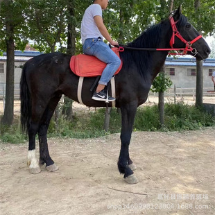 �T���R�R�x ��Ѫ�R ��c���R �����R �^�p�R���w�������䰫�R���U