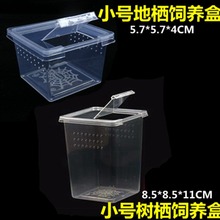 蜘蛛饲养盒带翻盖透气孔活体蜘蛛蝎子蜈蚣昆虫幼体饲养箱量大价优