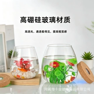 高硼硅玻璃瓶耐热玻璃小鱼缸斗鱼瓶器皿透明水培瓶微景观生态瓶