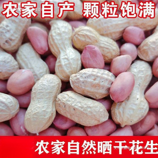 2025�����r������������Ɏ�Ƥ��Ƥ��������ԭζ�컨��250��3����