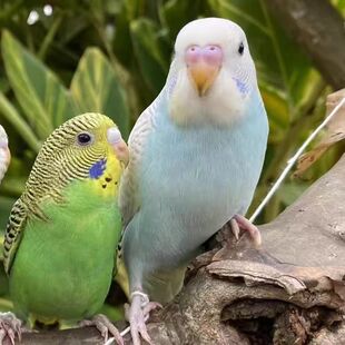 ��Ƥ�W�^�����B���B���пɷ������̿ɽ��fԒ�����P������Ȯ����