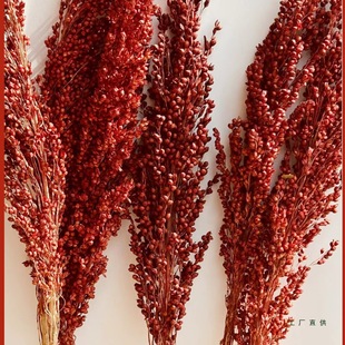 �t��������Ȼ�ɻ�����������͏d�����Ĕz����s�Z�[���������b�