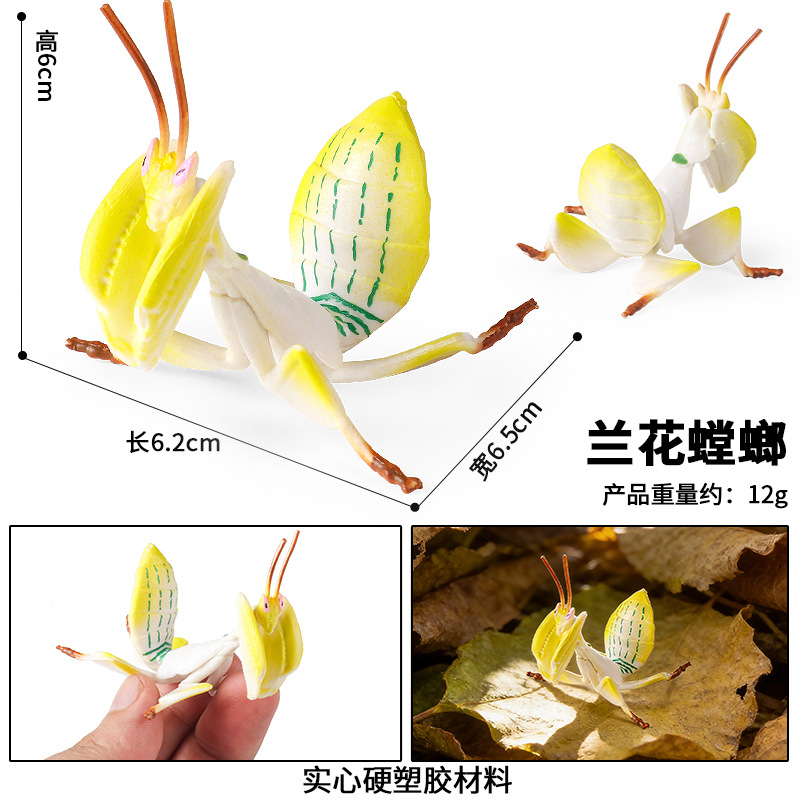 M-3244 Mantis orquídea (amarillo)