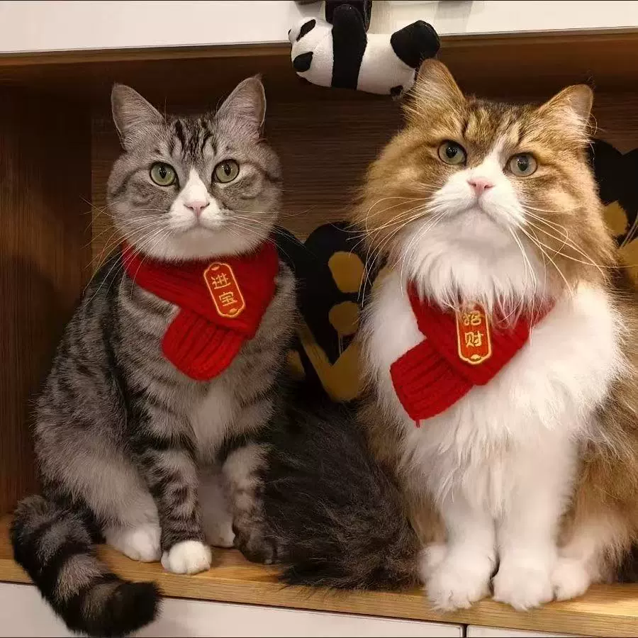 猫咪狗狗围脖新年宠物猫围巾小狗围脖喜庆猫围脖厂家现货批发