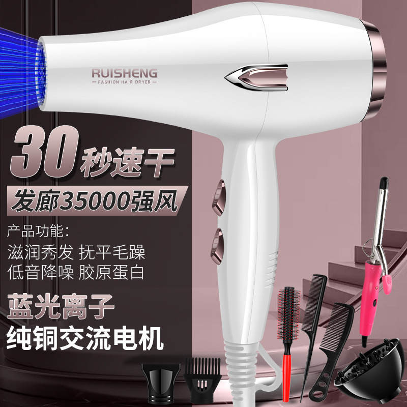 German Hairstylist Hair Dryer Hair Salon High-Power Household Strong Wind Hot and Cold Air Blue Light Negative Ion Hair Care Roll Free Shipping