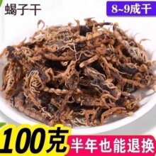 全蝎中 干蝎子 全蝎 全虫多规格包邮 蝎子干货可磨粉真货