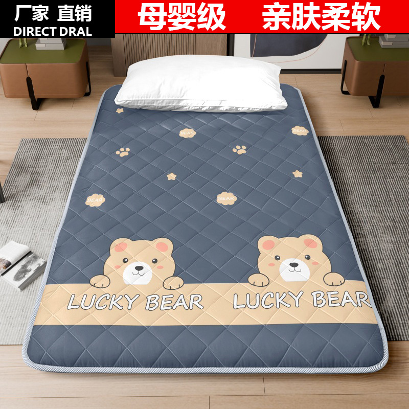 A급 매트리스 패드, 얇은 매트리스, 만화 소프트 패드, 가정용 매트리스 패드, 이불, 침구 바닥 패드, 미끄럼 방지 시트 패드