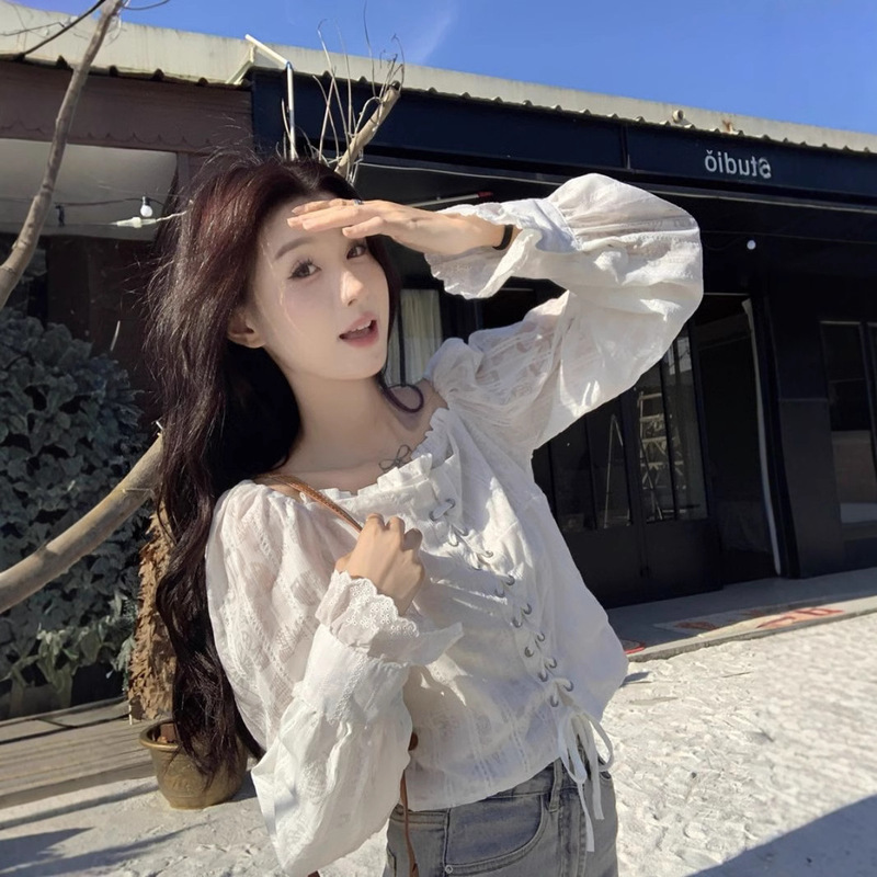 Butterfly embroidered lace white shirt women's 2025 spring summer new design unique chic temperament long sleeve top