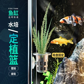 纪念币;塑料塑胶标签;塑料盒