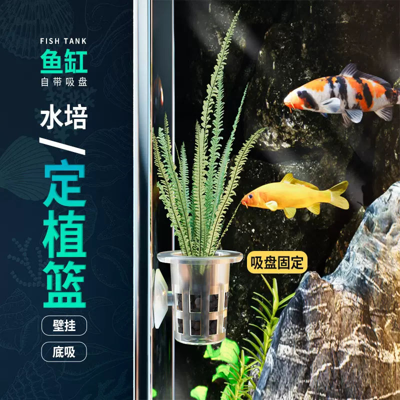 水培定植篮蔬菜无土栽培设备塑料加深种植蓝水耕植物定植杯固根器