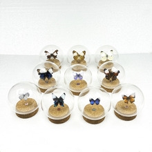 �����˱������ֳ�Ʒ΢���^�b[�����B��ֲ���������ɻ�����Y��