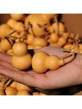 ��Ȼ������J�����ְѼ�����С���J��Ʒ�����^�@ָ�������{�[��