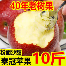 陕西秦冠粉面苹果当季新鲜水果脆甜丑冰糖心苹果3-10斤一整箱批发