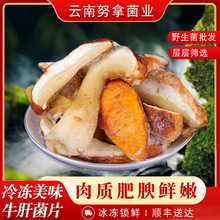 云南特产速冻鲜美味牛肝菌片可炒涮火锅煲汤美味食材现货批发
