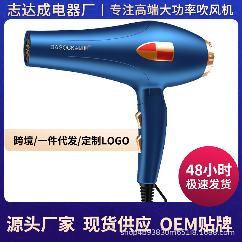 Hair Dryer for Home Hair Salon Barber Shop High Power Hot and Cold Air Student Dormitory Hotel Constant Temperature Hair Dryer Wholesale