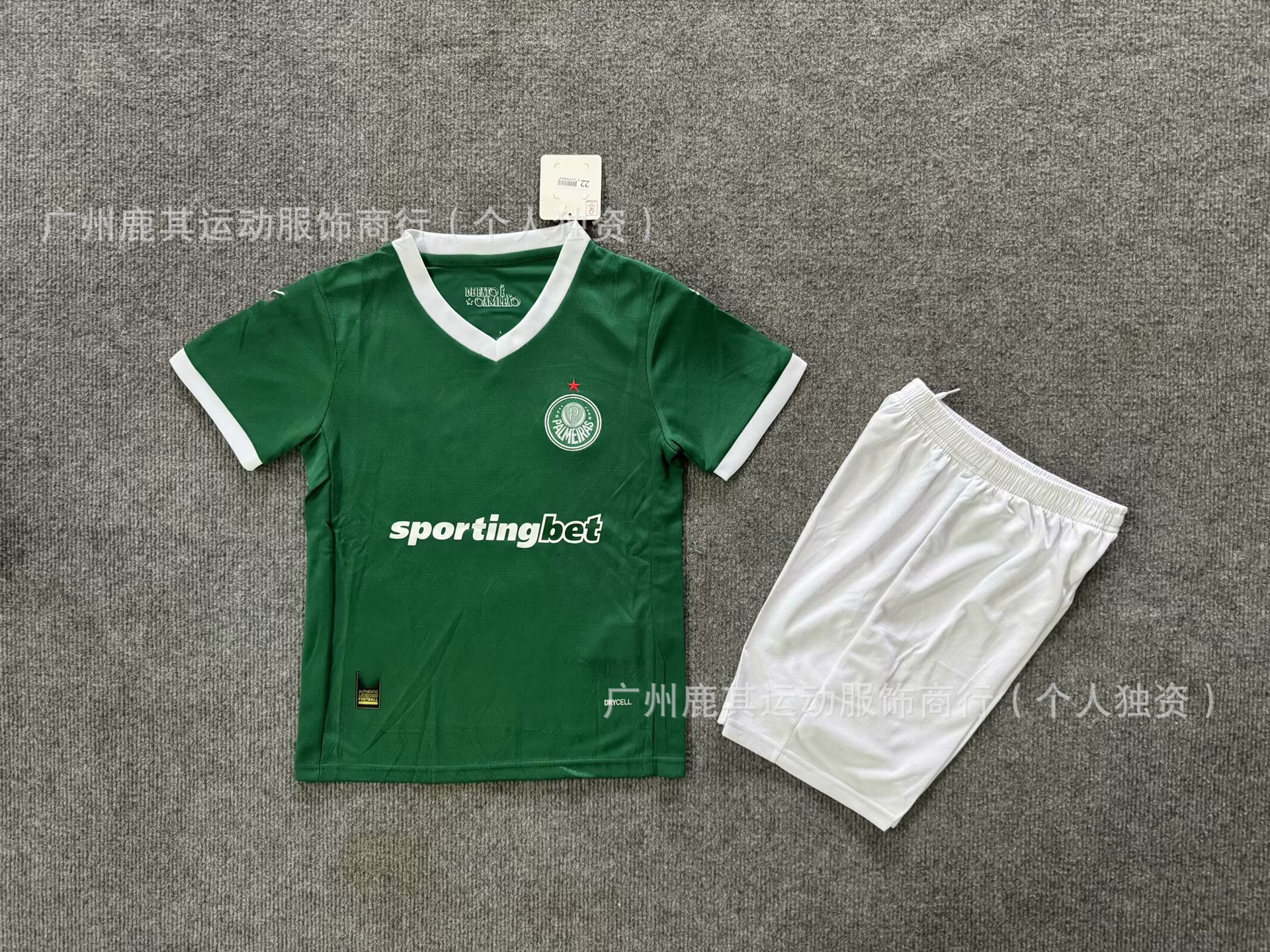 2526 Palmeiras en casa